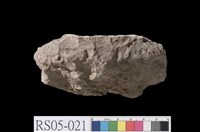 藏品(泥岩)的圖片